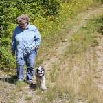 Darlina New walks the former logging road at the Nourse Tree Farm and will host open house next weekend to celebrate being the Tree Farmer of the Year for Washington. (Kevin Clark / The Herald)
