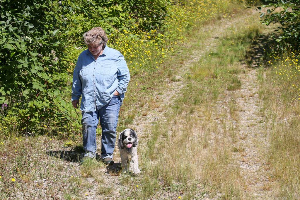 Darlina New walks the former logging road at the Nourse Tree Farm and will host open house next weekend to celebrate being the Tree Farmer of the Year for Washington. (Kevin Clark / The Herald)
