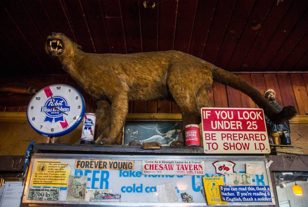 A large stuffed cougar and a collage of stickers and posters sit on a refrigerator at Docs Pilchuck Tavern in Machias. (Olivia Vanni / The Herald)