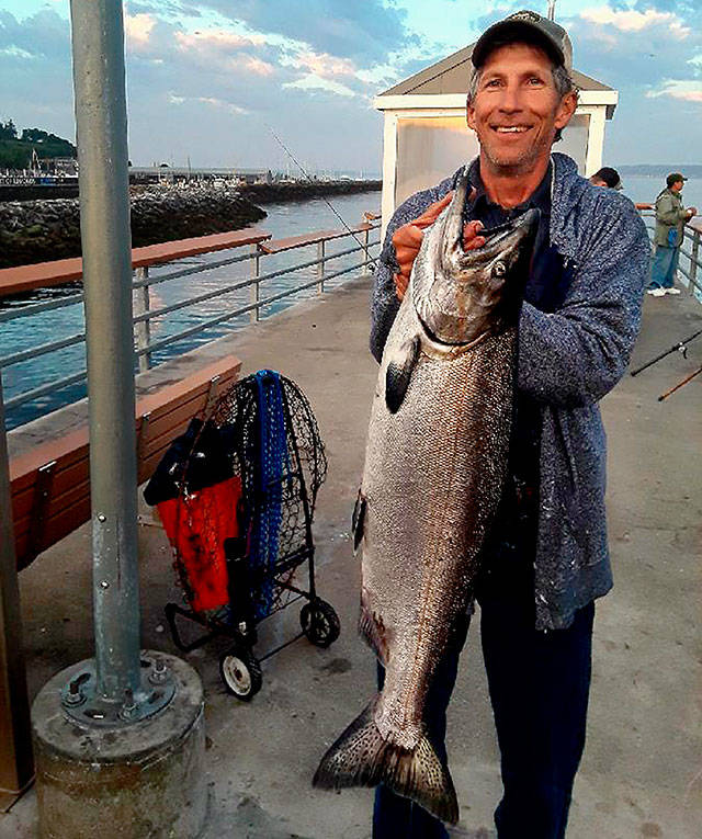 Richard Burnett reeled in this good-sized king salmon at the public fishing pier in Edmonds last week. (Courtesy Richard Burnett)