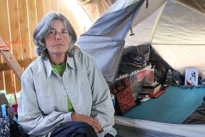 Lynnwood ponders tiny houses for homeless college students