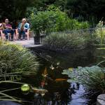 Peggy and Richard Simpson sit with their dogs, Stella and Bodie, next to the koi pond in their garden in Snohomish. Theirs will be one of seven gardens featured in the Snohomish Garden Tour on July 29. (Olivia Vanni / The Herald)