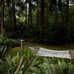 A hammock swings in the Simpsons garden. (Olivia Vanni / The Herald)