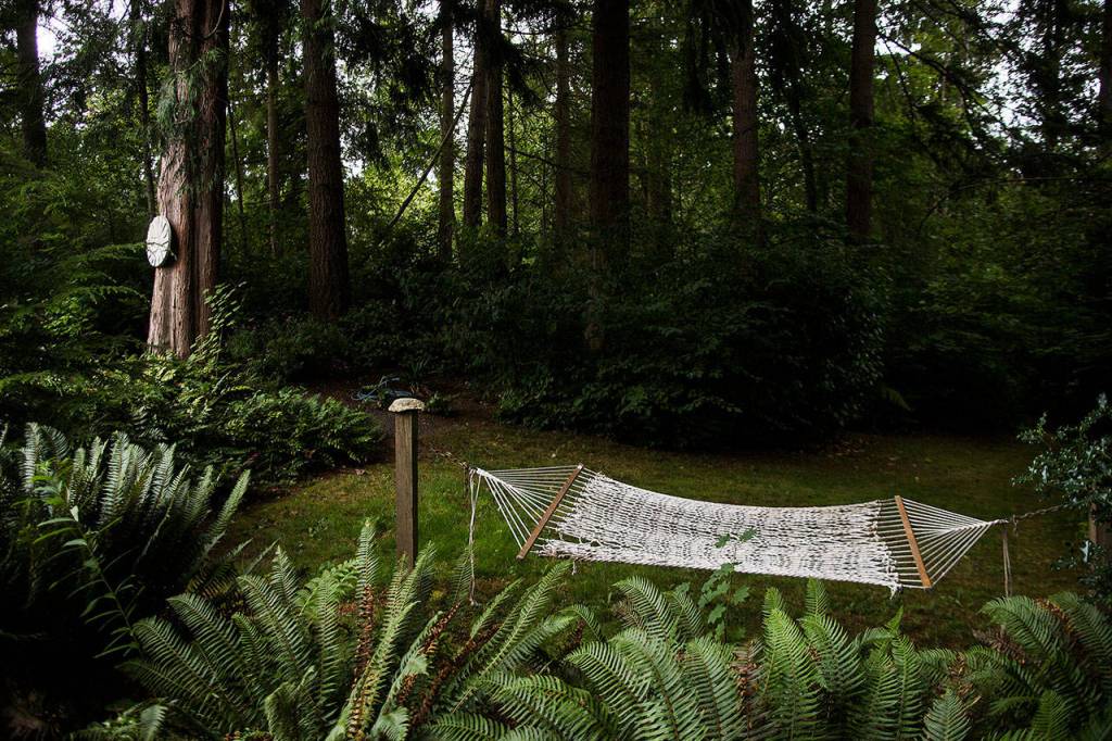 A hammock swings in the Simpsons garden. (Olivia Vanni / The Herald)