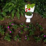 A toilet bowl turned into a planter awaits visitors to the Snohomish Garden Tour. (Olivia Vanni / The Herald)