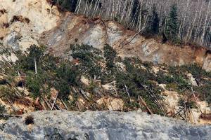 Second group of Oso families settles for $11.5M