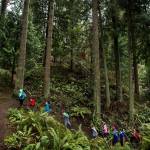 Photos of people in nature provides a sense of scale. In this photo, trees tower over hikers. (Photo by Ian Terry)