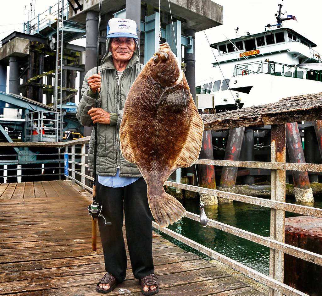 A Vietnamese man brings up a flounder on the <a href="https://www.heraldnet.com/news/no-boat-no-problem-public-fishing-piers-attract-anglers/" target="_blank">fishing pier</a> adjacent to the Mukilteo ferry dock. (Dan Bates / The Herald)