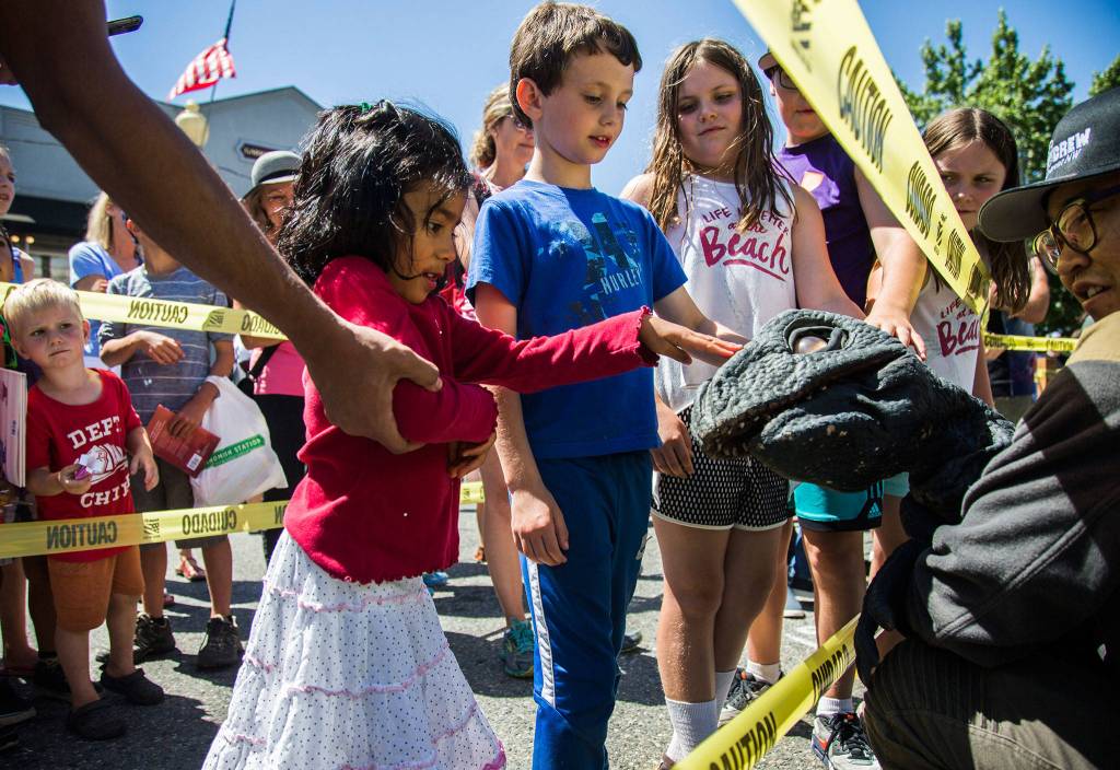 Sanjana Chandra, 4, pets a puppet dinosaurs during Kla Ha Ya Days on Saturday, July 21, 2018 in Snohomish, Wa. (Olivia Vanni / The Herald)