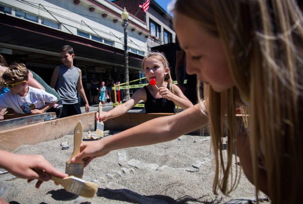 Jessie Reiman, 6, eats a lollipop while digging for fake fossils during Kla Ha Ya Days on Saturday, July 21, 2018 in Snohomish, Wa. (Olivia Vanni / The Herald)