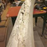 The jaw bone, estimated to be 100 years old, was crumbling and decaying from being outside without being properly preserved. (Submitted photo)