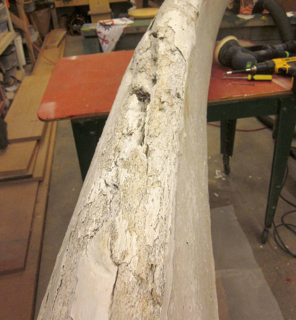 The jaw bone, estimated to be 100 years old, was crumbling and decaying from being outside without being properly preserved. (Submitted photo)