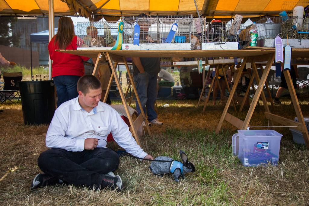 Loren Boylston holds the leash of his sisters rabbit during the Silvana Fair off of Pioneer Highway on Saturday, July 28, 2018 in Silvana, Wa. (Olivia Vanni / The Herald)