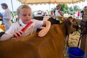 Gallery: 2018 Silvana Fair