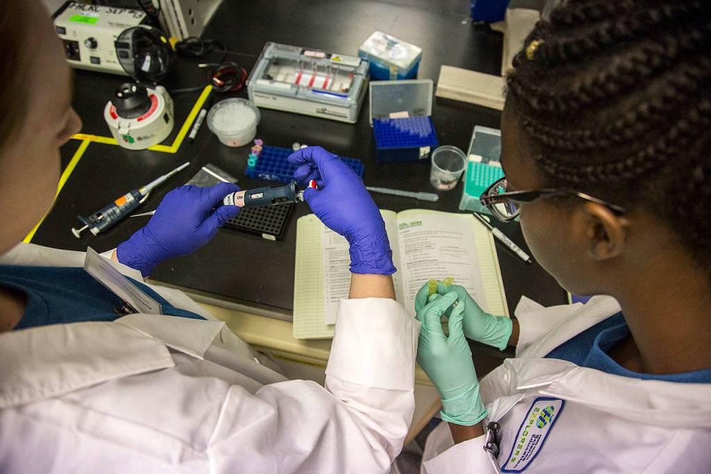 Alberta Gbla (right) and Aleksandra Kogalovski adjust their measurements during the Fred Hutch Pathway Research Explorers Program lab session at the Fred Hutchinson Cancer Research Center on Aug. 9 in Seattle. (Olivia Vanni / The Herald)