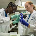 Alberta Gbla, left, of Mariner High School and Aleksandra Kogalovski of Mercer Island High School work in the lab during the Fred Hutch Pathway Research Explorers Program at the Fred Hutchinson Cancer Research Center on Thursday, Aug. 9, 2018 in Seattle, Wa. (Olivia Vanni / The Herald)