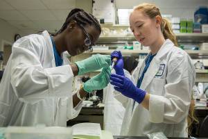 Alberta Gbla, left, of Mariner High School and Aleksandra Kogalovski of Mercer Island High School work in the lab during the Fred Hutch Pathway Research Explorers Program at the Fred Hutchinson Cancer Research Center on Thursday, Aug. 9, 2018 in Seattle, Wa. (Olivia Vanni / The Herald)