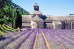 Mellowing out at France’s serene abbeys