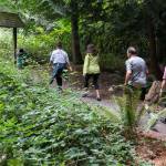 Lynnwoods group of South County Walkers starts off from Lynnwood Recreation Center on Aug. 2. (Kevin Clark / The Herald)