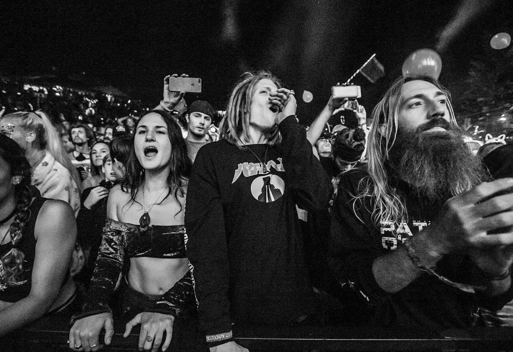 People yell during Bassnectars performance at the Summer Meltdown on Saturday, Aug. 4, 2018 in Darrington. (Olivia Vanni / The Herald)