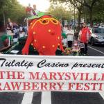 The Marysville Strawberry Festival was represented at the Seafair Torchlight Parade in Seattle on July 28. (Sue Misao / The Herald)