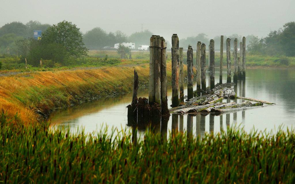This is how the banks of Union Slough on Smith Island looked in 2014. (Mark Mulligan / Herald file)