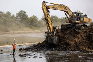 To expand salmon habitat, county floods farmland