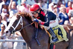 Alert Bay favored in third apperance at Longacres