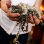 In her wool shop, Elaine Wilson works with fine fibers from specially bred goatsan Angora goat cross. (Dan Bates / The Herald)