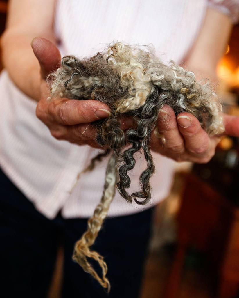 In her wool shop, Elaine Wilson works with fine fibers from specially bred goatsan Angora goat cross. (Dan Bates / The Herald)