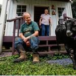 As Elaine Wilson, 74, steps out the door of her wool shop behind the main farmhouse, Piglet, a small black goat runs down the staircase where husband Dale, 75, is sitting. Elaine, retired after years as the Open Class Wool Superintendent at the Evergreen State Fair, is the 2018 honoree. (Dan Bates / The Herald)