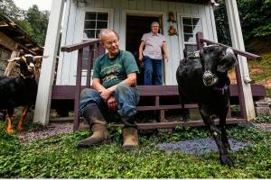 As Elaine Wilson, 74, steps out the door of her wool shop behind the main farmhouse, Piglet, a small black goat runs down the staircase where husband Dale, 75, is sitting. Elaine, retired after years as the Open Class Wool Superintendent at the Evergreen State Fair, is the 2018 honoree. (Dan Bates / The Herald)