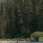 Slide Lake, located on the edge of the Glacier Peak Wilderness, was created long ago by a major landslide. (Mike Benbow photo)