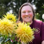 Alli Richards displays an AC Jeri, a semi-cactus dahlia. (Andy Bronson / The Herald)