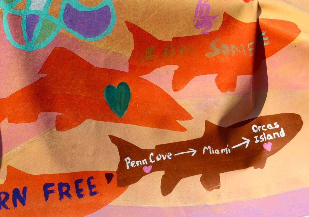 A banner at the Orca Networks Bring Tokitae Home event on Aug. 8 was painted by the Lummi Nation in honor of the orcas captured in Penn Cove in the 1960s and 70s. Tokitae/Lolita, an entertainer at the Miami Seaquarium, is the last surviving killer whale captured from her pod. (Patricia Guthrie/Whidbey News-Times)