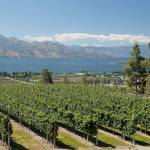 British Columbia’s Okanagan Valley a mecca for wine lovers
