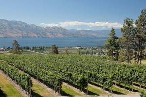 British Columbia’s Okanagan Valley a mecca for wine lovers