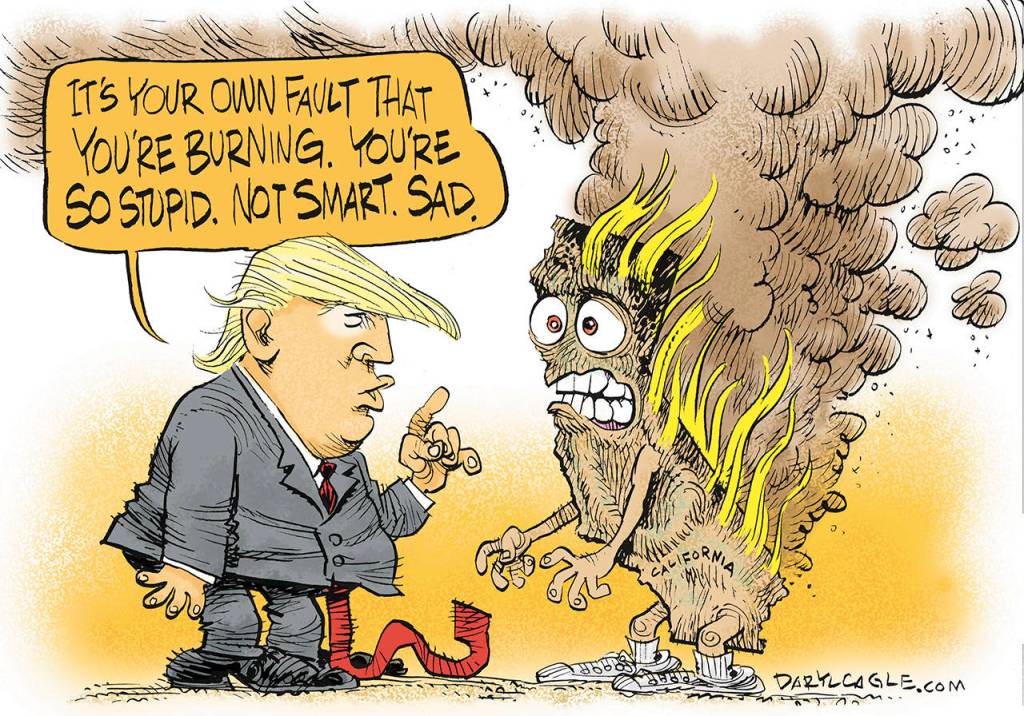 Editorial cartoons for Friday, Aug. 17