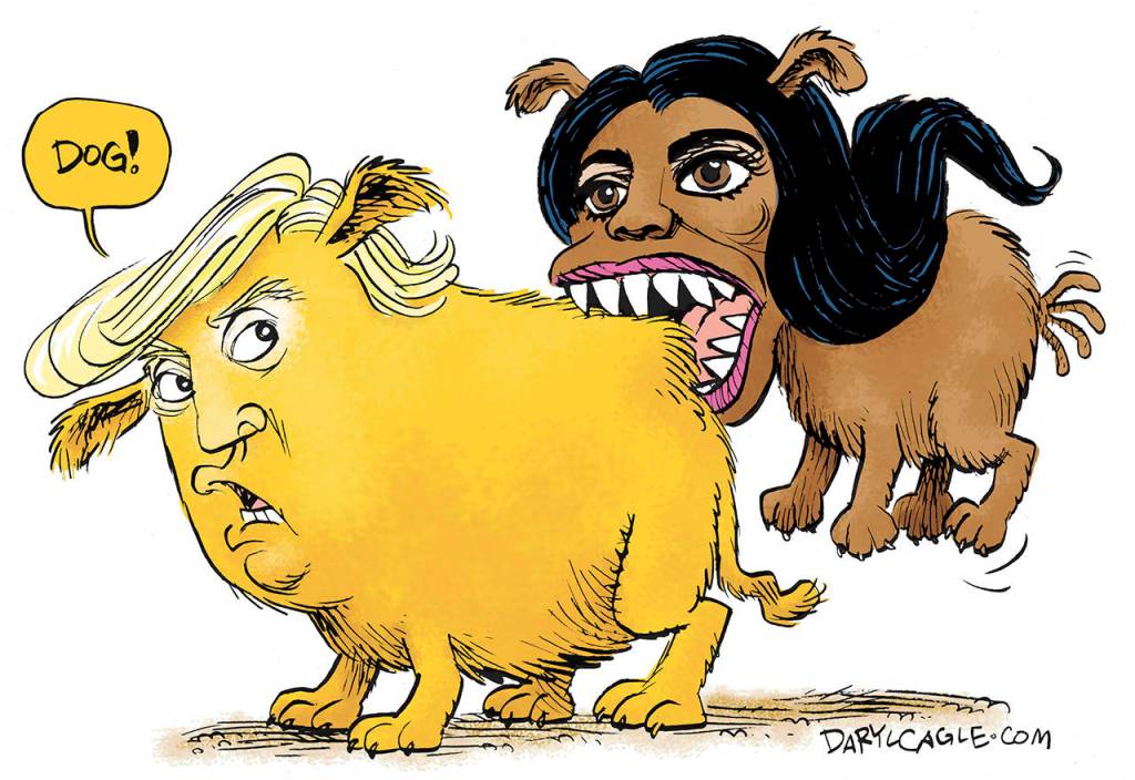 Editorial cartoons for Friday, Aug. 17