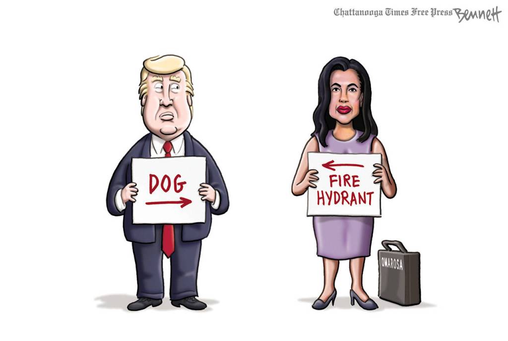 Editorial cartoons for Sunday, Aug. 19