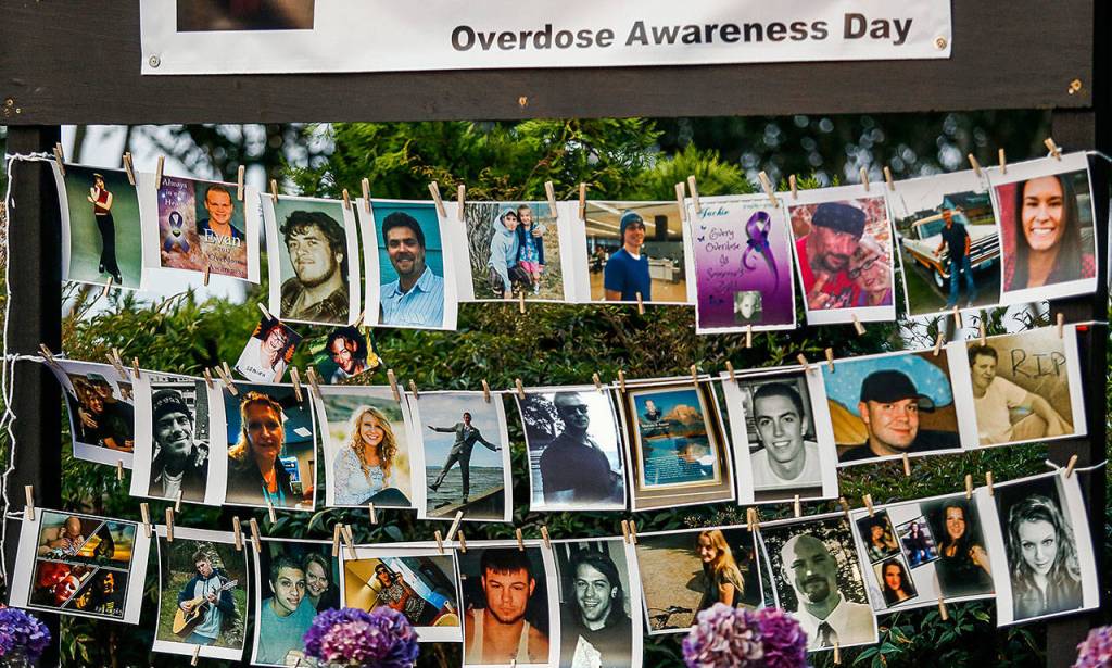 Photographs of drug overdose victims hang behind the presentation area during Thursdays event. (Dan Bates / The Herald)