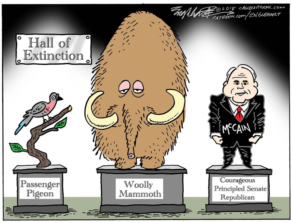 Editorial cartoons for Tuesday, Aug. 28