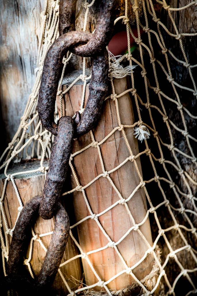 Diana Scheels winning submission for the theme detail in the 2017 Edmonds Photomarathon. (Diana Scheel)