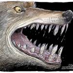 Editorial cartoons for Wednesday, Aug. 29