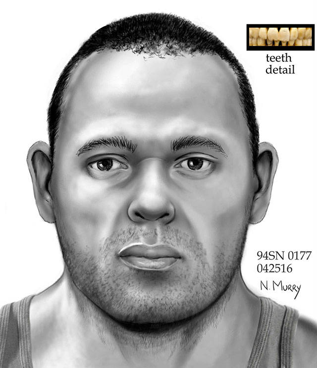 One sketch of what a man might have looked like, before he was shot to death and found months later in a lake south of Everett in 1994. Forensic artist Natalie Murry drew the face based on his skull in 2016. (Forensic sketch)