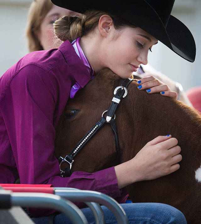Samantha Weinmann, of Monroe, hugs her miniature horse, Ruby, before a competition at Evergreen State Fair on Monday in Monroe. (Andy Bronson / The Herald)