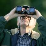 John Vanderbeck watches as the first of the Swifts arrive at the Wagner Performing Arts Center to roost in the chimney in 2010. Vanderbeck had never seen the arrival of the Swifts before, and he, his wife, and their neighbors brought a picnic dinner to enjoy before the Swifts began circling the area. (Herald file)