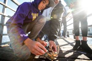 Lighthouse Festival could go dark without donations