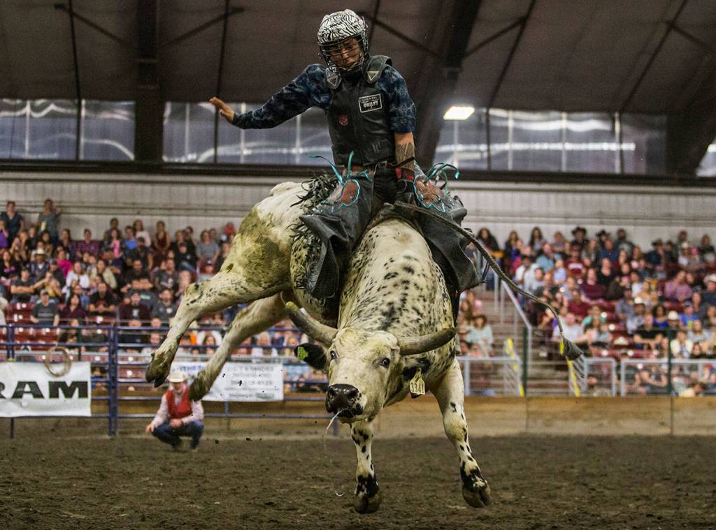 Austin Covington rides during the Pro-West Rodeo at the Evergreen State Fair on Sept. 1, 2018 in Monroe, Wa. (Olivia Vanni / The Herald)