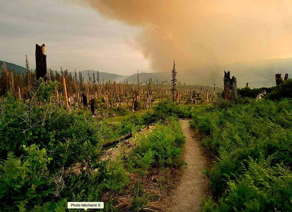 A forest fire is seen ahead as Devin Boyd approaches Reds Meadow west of Mammoth, California. He skirted the fire and continued on the Pacific Crest Trail. (Photo Devin Boyd)